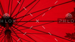 demo-attachment-1549-loic-furhoff-YERwza88a0o-unsplash@2x